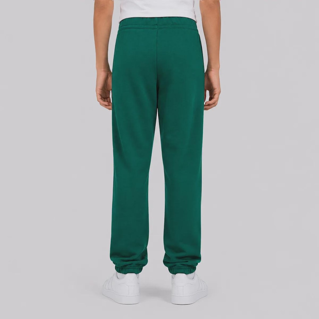 Imagem 3 do produto Calça adidas Big Logo Essentials Infantil
