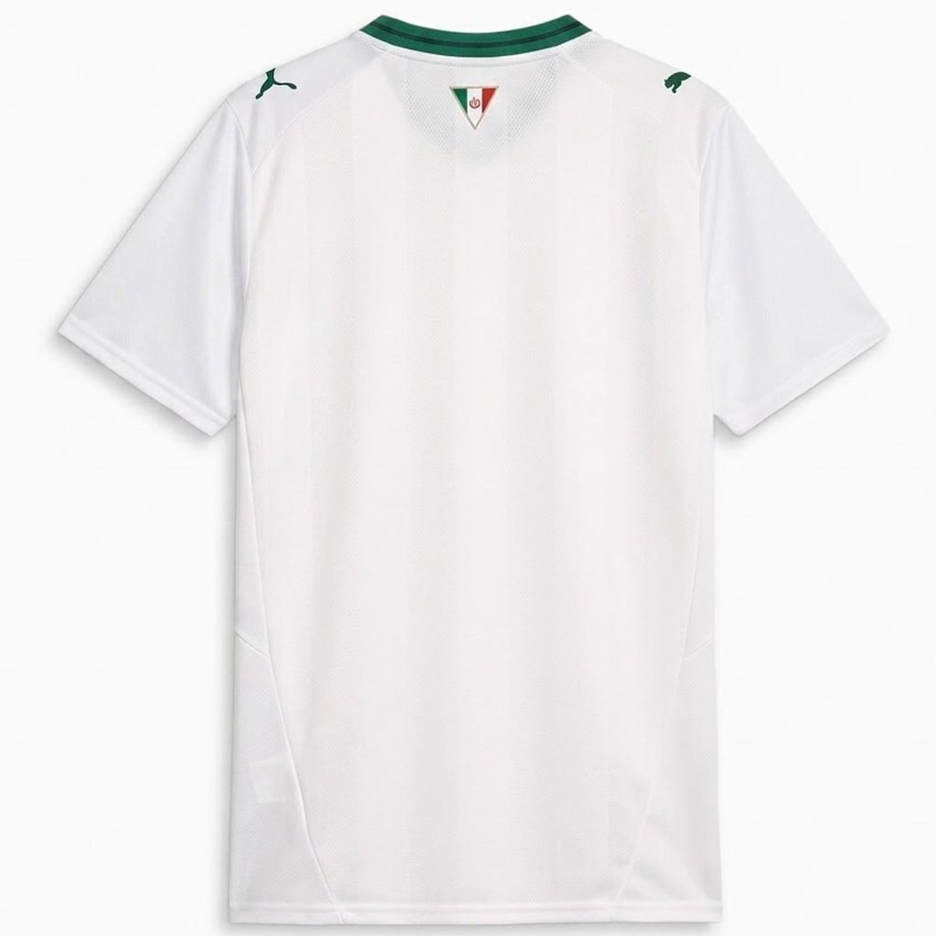 Imagem 2 do produto Camisa do Palmeiras Puma Torcedor Masculina