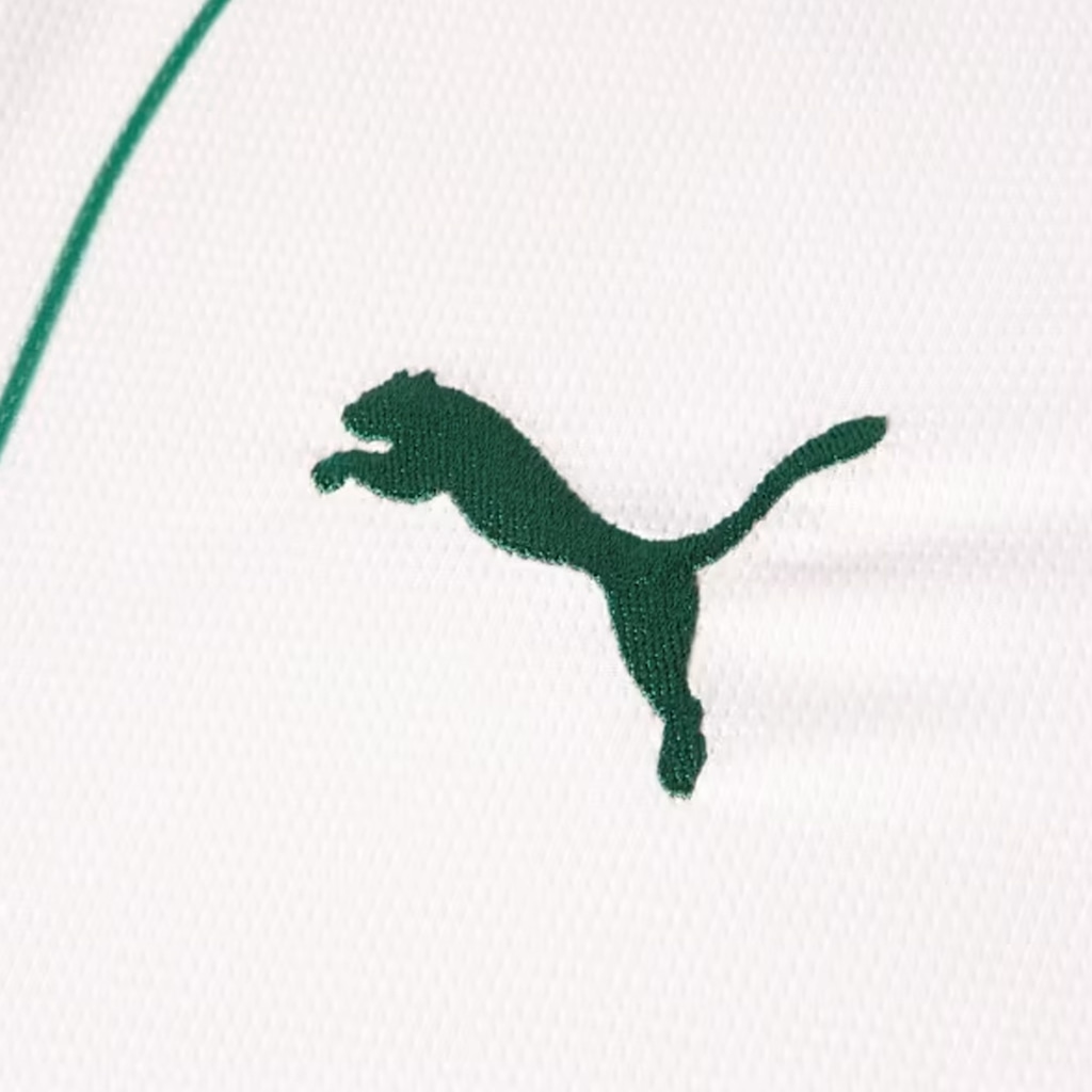 Imagem 3 do produto Camisa do Palmeiras Puma Torcedor Masculina