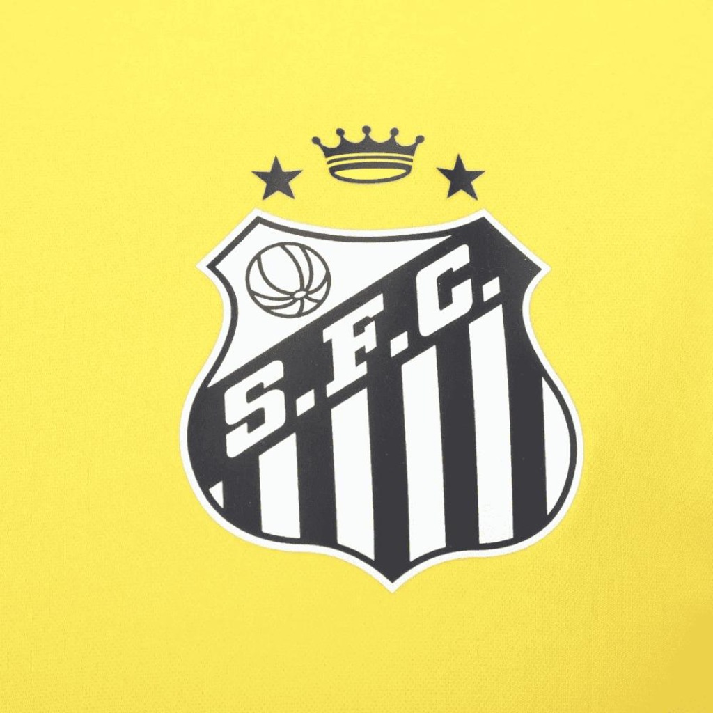Imagem 3 do produto Camisa do Santos Treino 2025/26 Umbro Masculina
