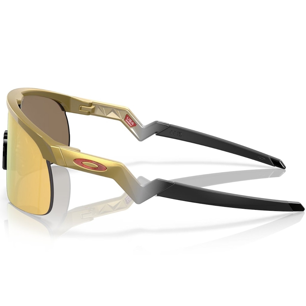 Imagem 3 do produto Óculos Oakley Resistor Gold / Prizm 24K - Adulto