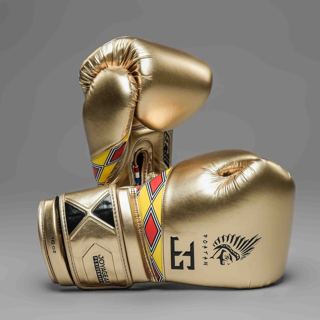 Imagem 1 do produto Luva de Boxe Joyagear Poatan Champion
