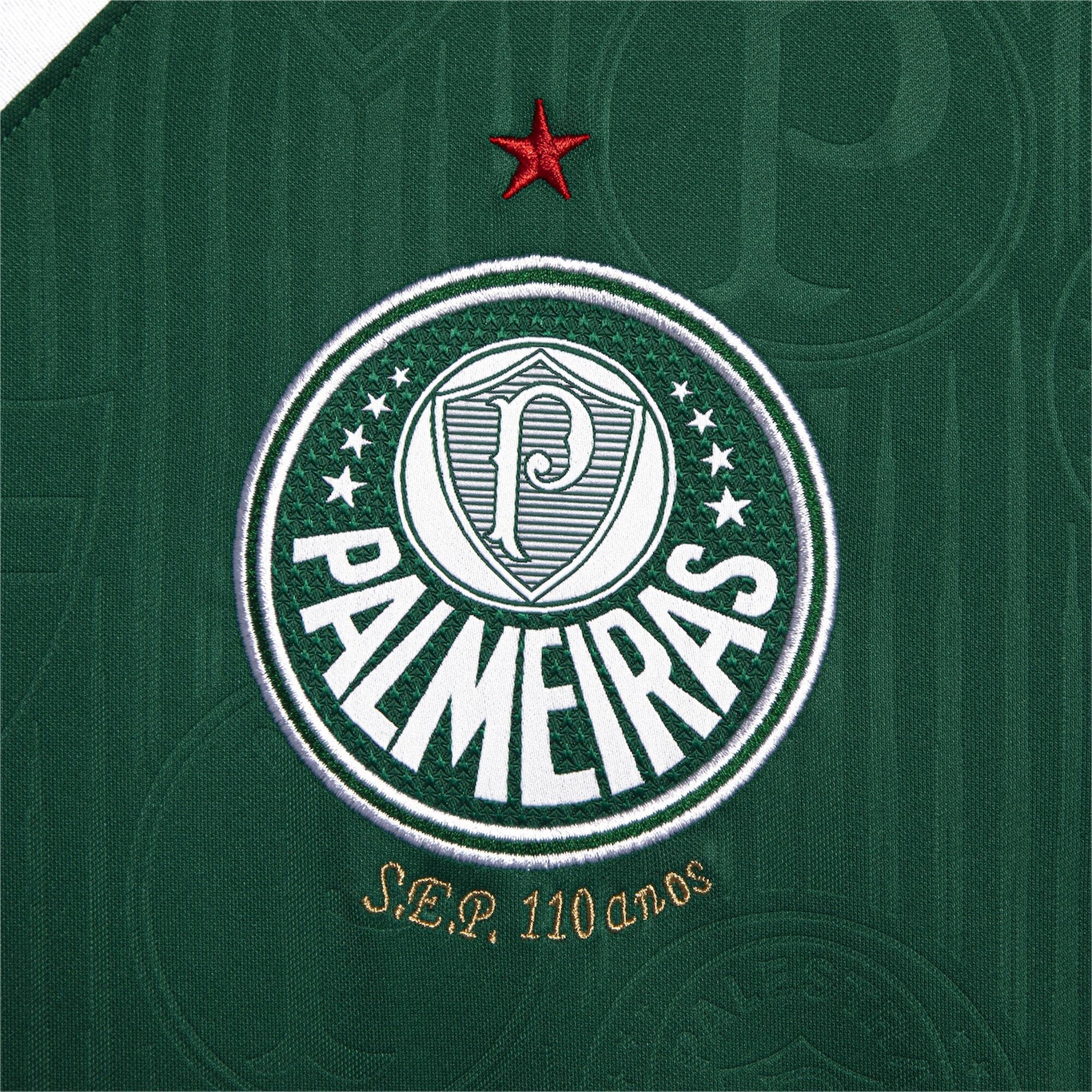 Camisa 1 do Palmeiras Home Torcedor 24 25 Puma Feminina em Promoção