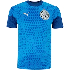 Camisa de Treino do Palmeiras 24 Puma Masculina