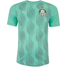 Camisa do Palmeiras 25 Puma Masculina Pré Jogo