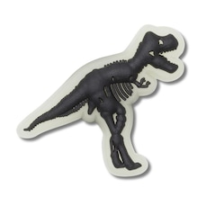 Jibbitz Crocs Dinossauro Brilha No Escuro Único