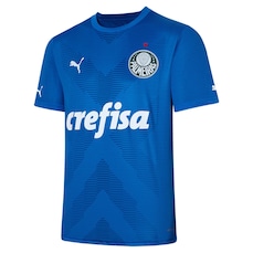 Camisa de Goleiro do Palmeiras Jogador Home Puma - Masculina