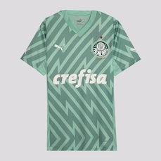 Camisa de Goleiro Puma Palmeiras Goleiro II 2024 - Masculina