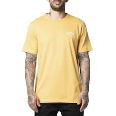 Camiseta Billabong Small Arch Emb 2024 - Masculina