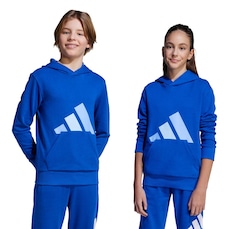 Blusão adidas Capuz Essentials Infantil - Infantil