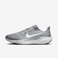 Tênis Nike Pegasus 41 - Masculino