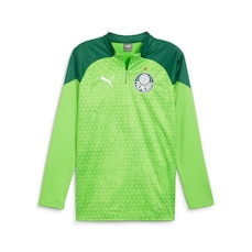 Camisa Puma Treino Palmeiras 2024 Fleece - Masculina