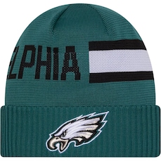 Gorro New Era Philadelphia Eagles NFL Sideline 2024 - Adulto