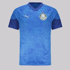 Camisa do Palmeiras Puma Training 2024 - Masculina