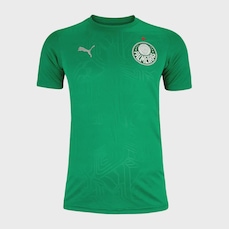 Camisa de Treino do Palmeiras 2025 Puma - Feminina