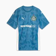 Camisa do Palmeiras Puma Goleiro 2025 Torcedor Masculina