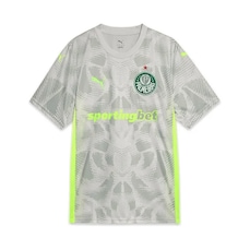 Camisa de Goleiro do Palmeiras Masculina Puma 2025 II Torcedor