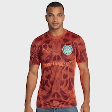 Camisa Masculina de Goleiro do Palmeiras II 2025 Puma Torcedor