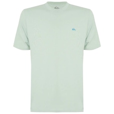 Camiseta Quiksilver ML Transfer Square WT25