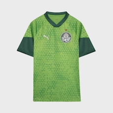 Camisa do Palmeiras Masculina 2024 Puma Treino Torcedor