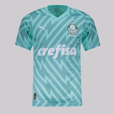 Camisa do Palmeiras II Goleiro 2024 Jogador Puma Masculina