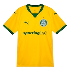 Camisa do Palmeiras III 25/26 Torcedor Puma Masculina