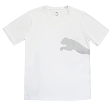 Camiseta Puma Masculina Tad Big Logo Tee DryCEL
