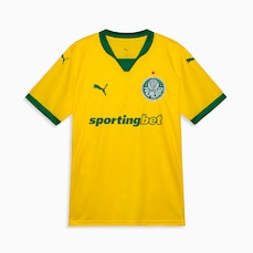 Camisa Palmeiras Puma 2025 Uniforme 3 Torcedor Masculino