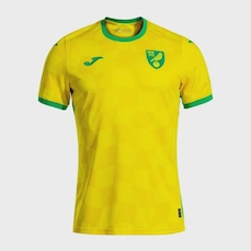 Camisa Norwich I 24/25 Joma Infantil