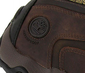 conteudo-especial_black-forest_Imagem1