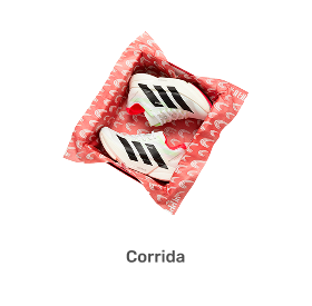 Corrida