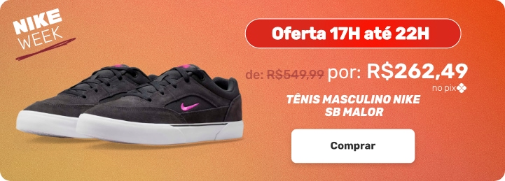 Tênis Nike SB Malor 