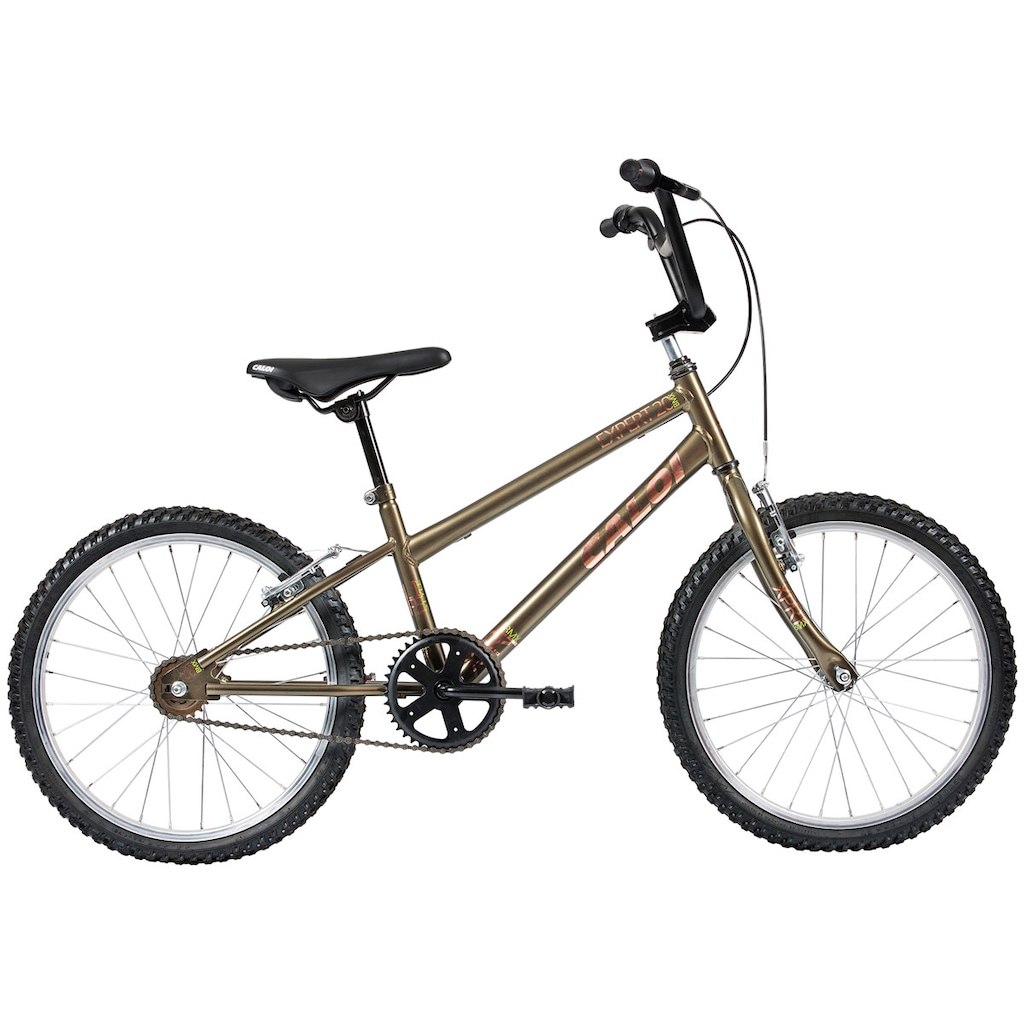 Bicicleta Caloi Expert - Aro 20 - Freios V-Brake - Infantil - Foto 1