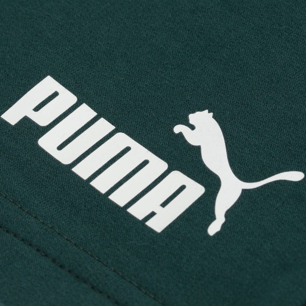 Imagem 5 do produto Calção do Palmeiras Puma Essentials Shorts 10" - Masculino
