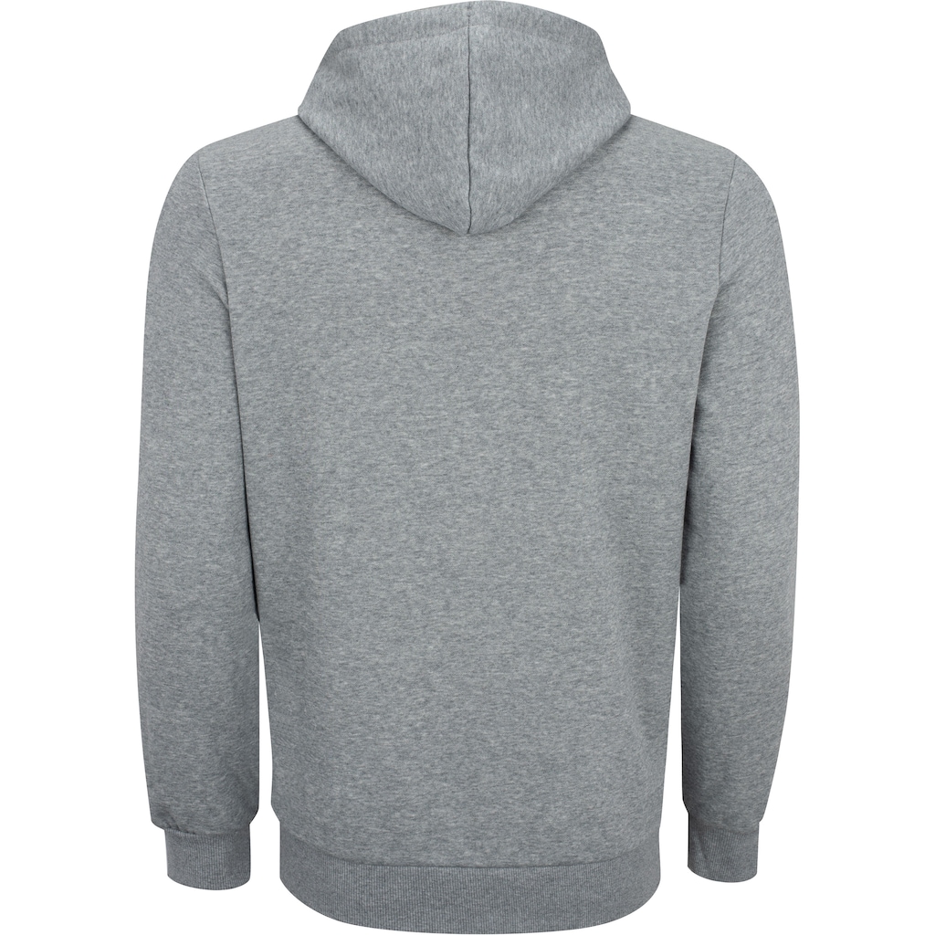 Imagem 5 do produto Blusa de Moletom Puma Masculina com Capuz BMW Essentials Fleece