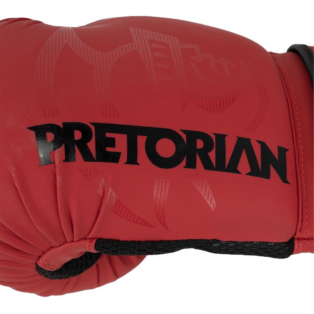 Imagem 5 do produto Luvas de Boxe Pretorian Muay Thai First 10 OZ Adulto