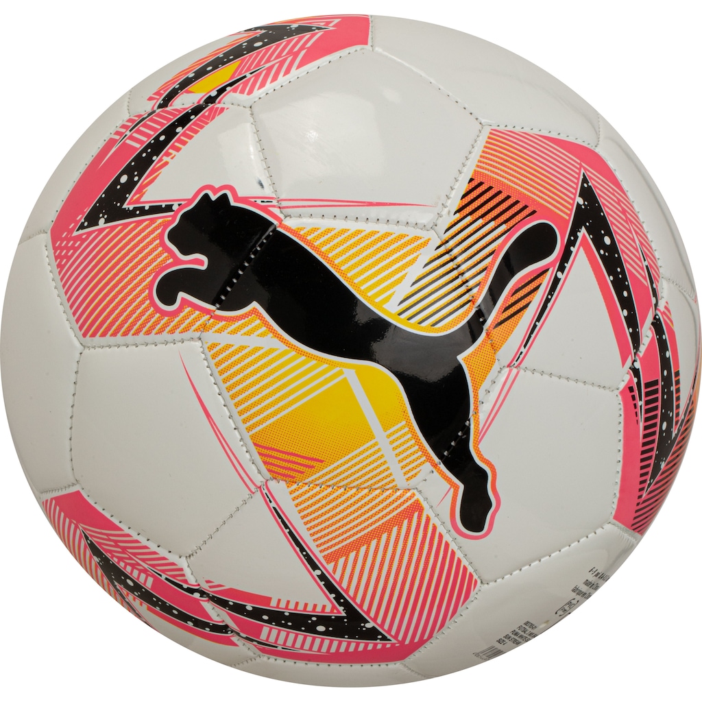 Imagem 2 do produto Bola Futsal Puma 3 MS