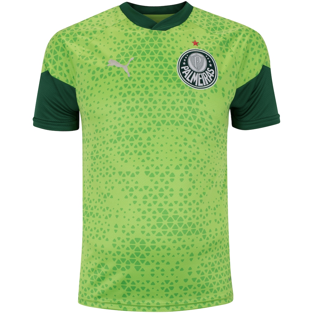 Camisa de Treino do Palmeiras 24 Puma Masculina