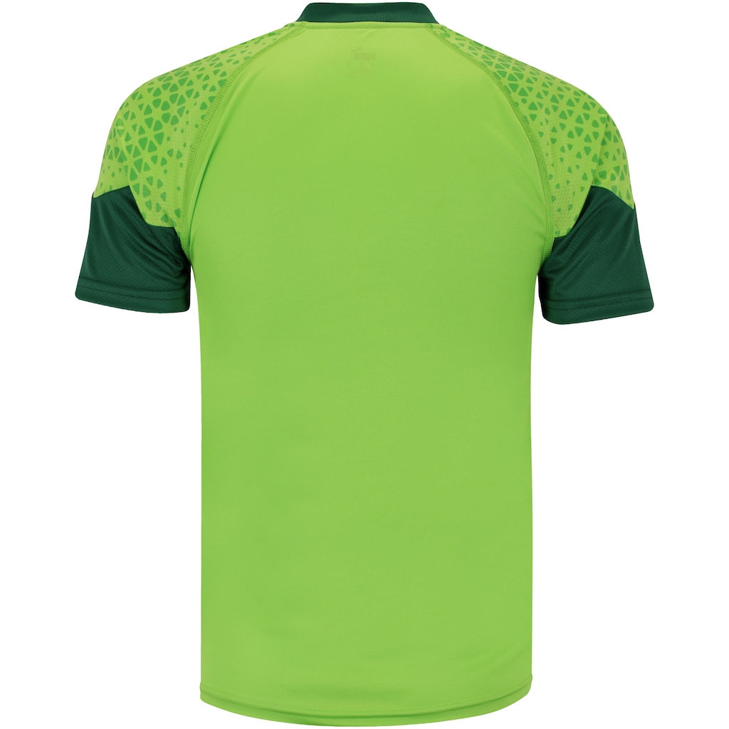 Imagem 2 do produto Camisa de Treino do Palmeiras 24 Puma Masculina