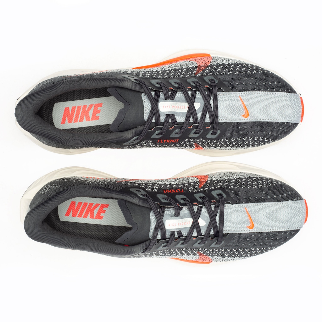 Imagem 3 do produto Tênis Nike Pegasus Plus - Masculino