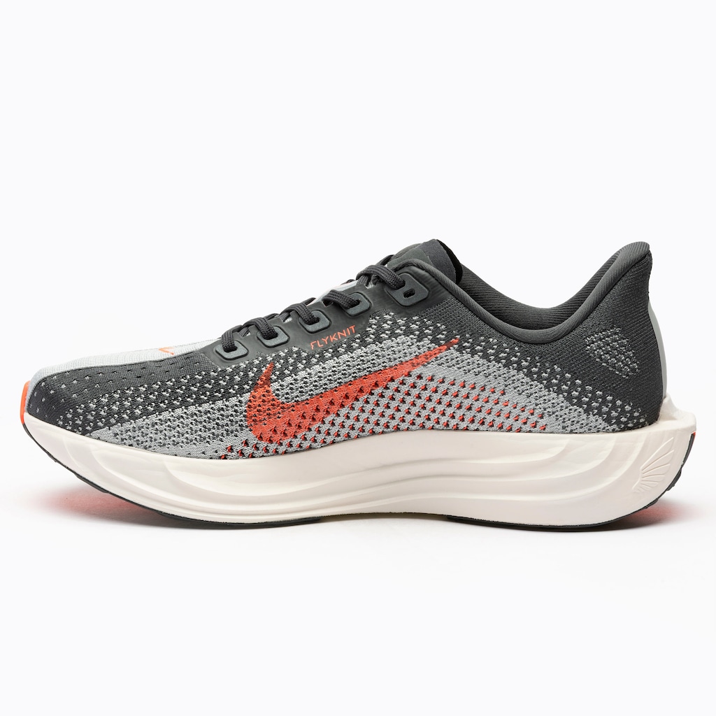 Imagem 2 do produto Tênis Nike Pegasus Plus - Masculino