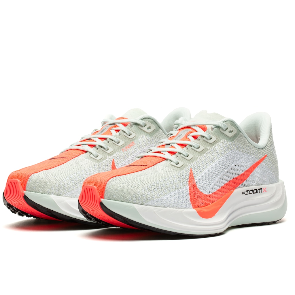 Imagem 2 do produto Tênis Nike Pegasus Plus - Masculino