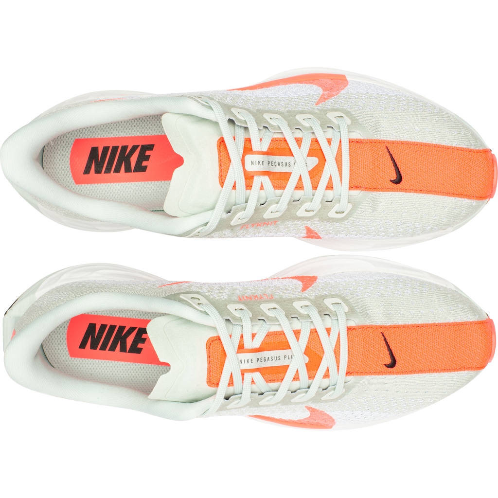 Imagem 5 do produto Tênis Nike Pegasus Plus - Masculino