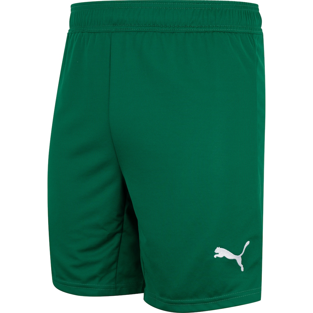 Calção do Palmeiras II 25 Puma Masculino