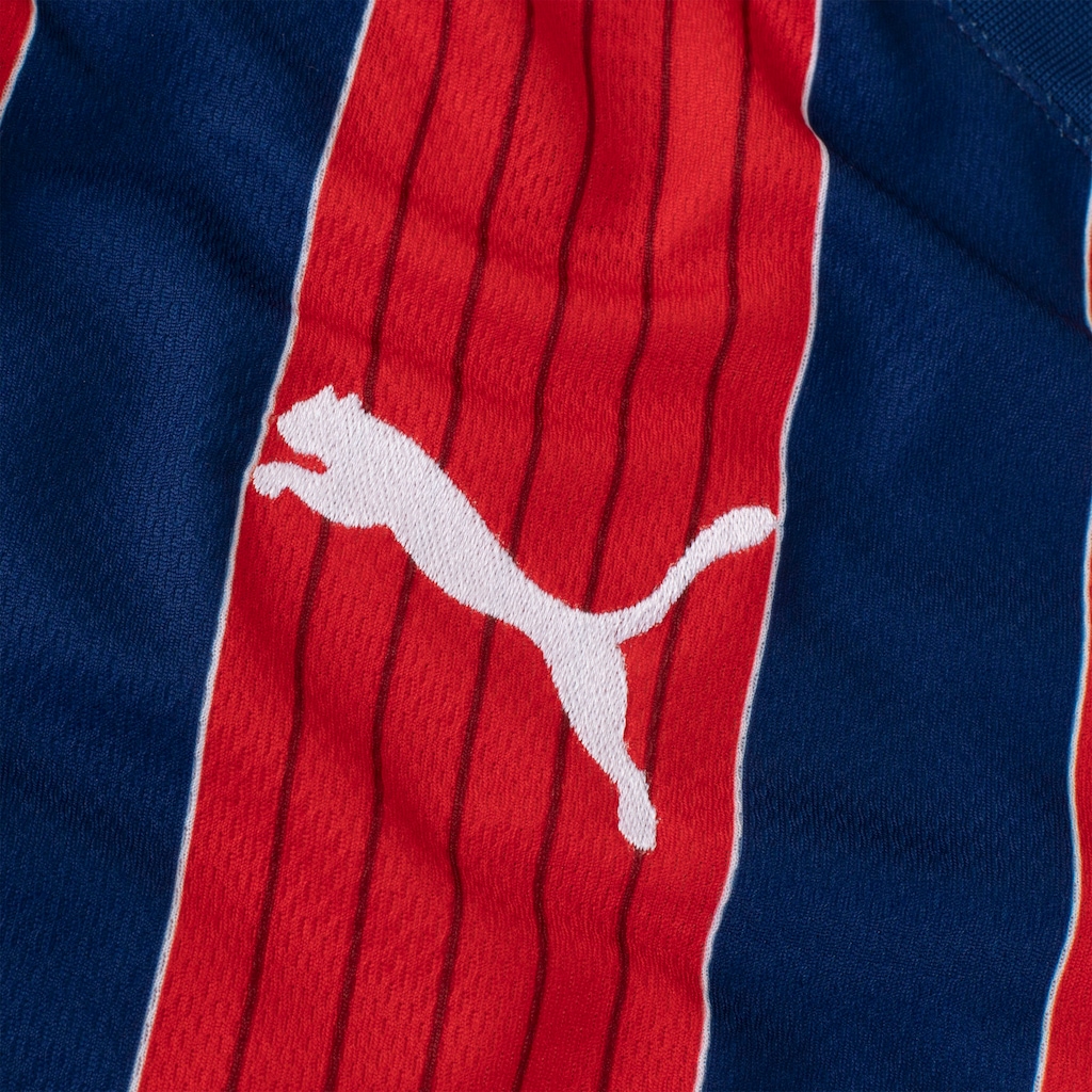 Imagem 5 do produto Camisa do Bahia II 25/26 Torcedor Puma Masculina