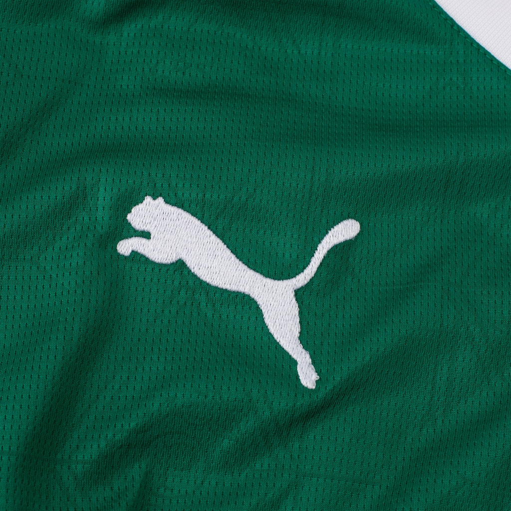 Imagem 3 do produto Camisa do Palmeiras I 25/26 Puma Torcedor - Fictor - Masculina