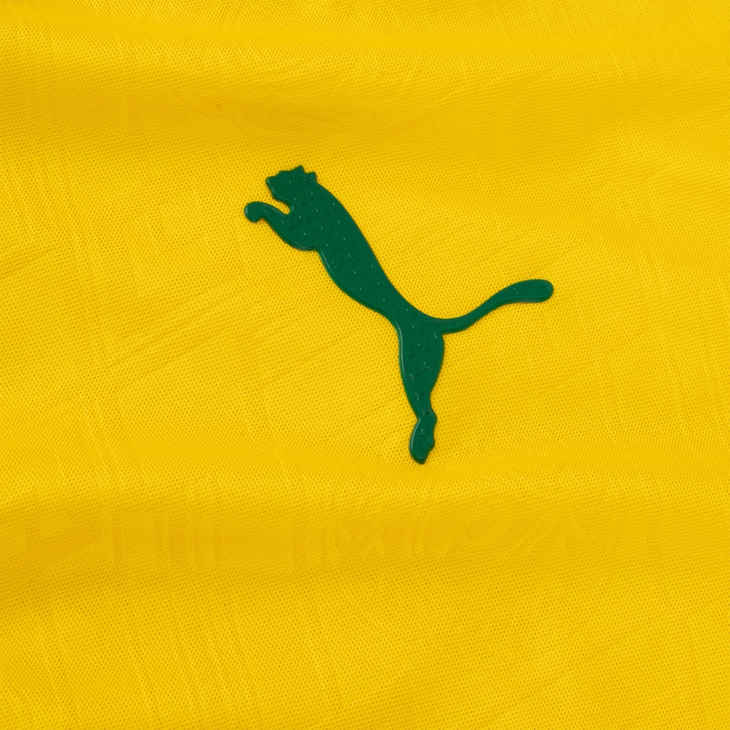 Imagem 4 do produto Camisa do Palmeiras III 25/26 Jogador Puma Masculino