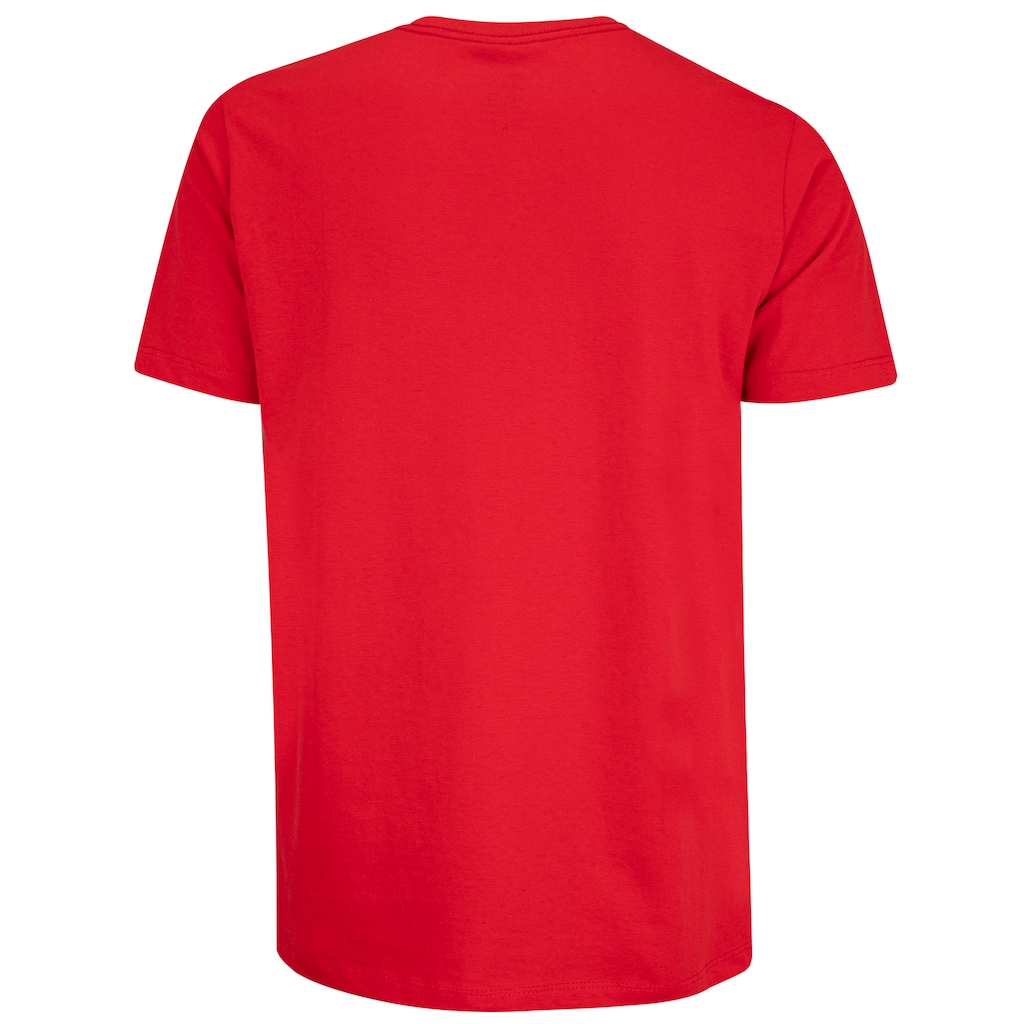 Imagem 2 do produto Camiseta Chicago Bulls NBA Sport Mascote N0483 Masculina