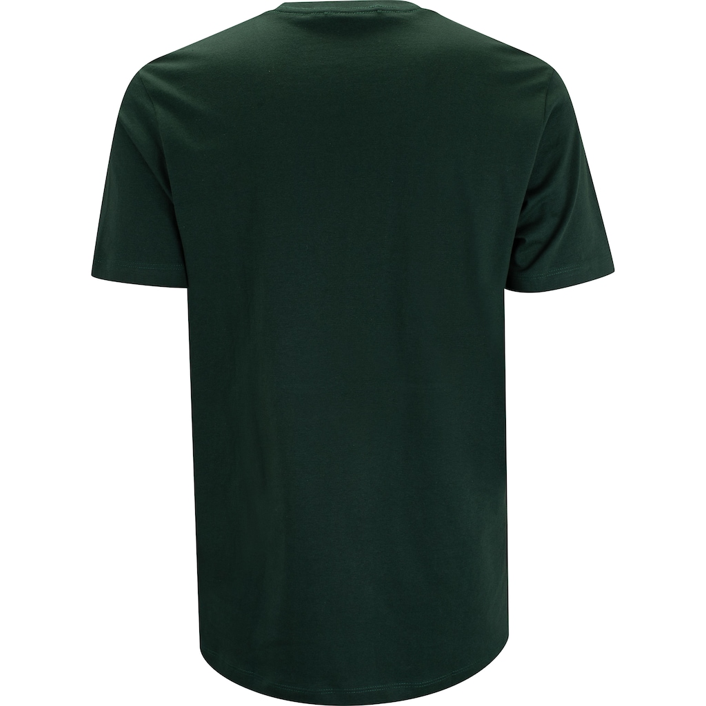 Imagem 2 do produto Camiseta Hd Boards H0197 Hawaiian Dream Masculina