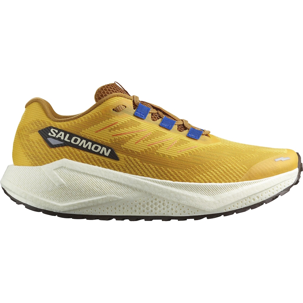 Tênis de Corrida Masculino Salomon Aero Blaze 3 GRVL